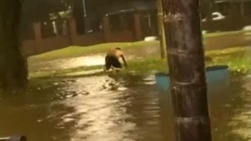 Murió electrocutado un niño de 12 años durante el temporal en Tucumán