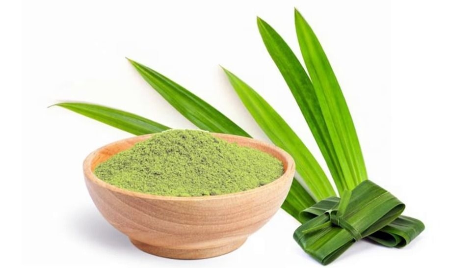 La planta con aroma a vainilla que ayuda a relajarse