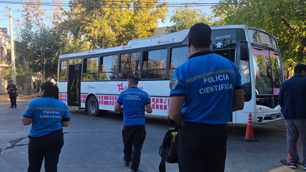 Un colectivo de la RedTulum atropelló a una mujer en plena Libertador