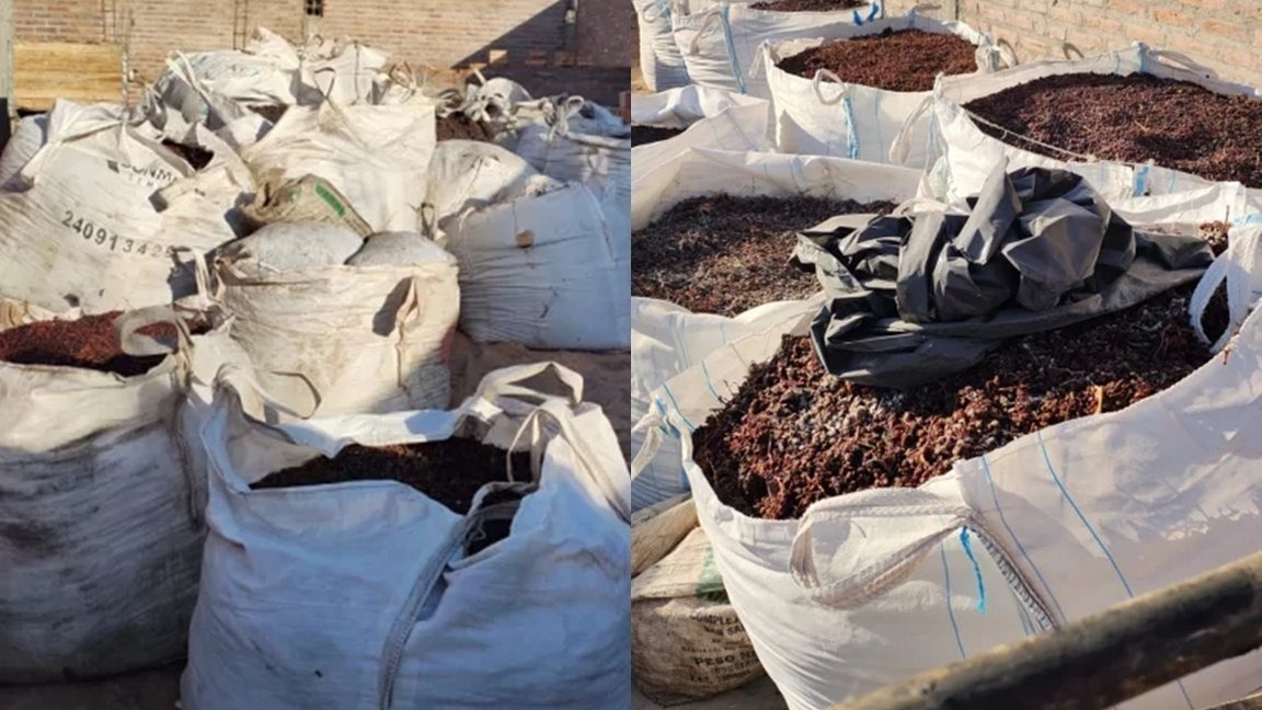 Robaron más de 4.000 kg de pasas de una finca en Sarmiento