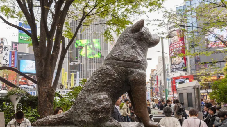 Se celebra el Día de Hachiko, el perro que esperó a su dueño durante años