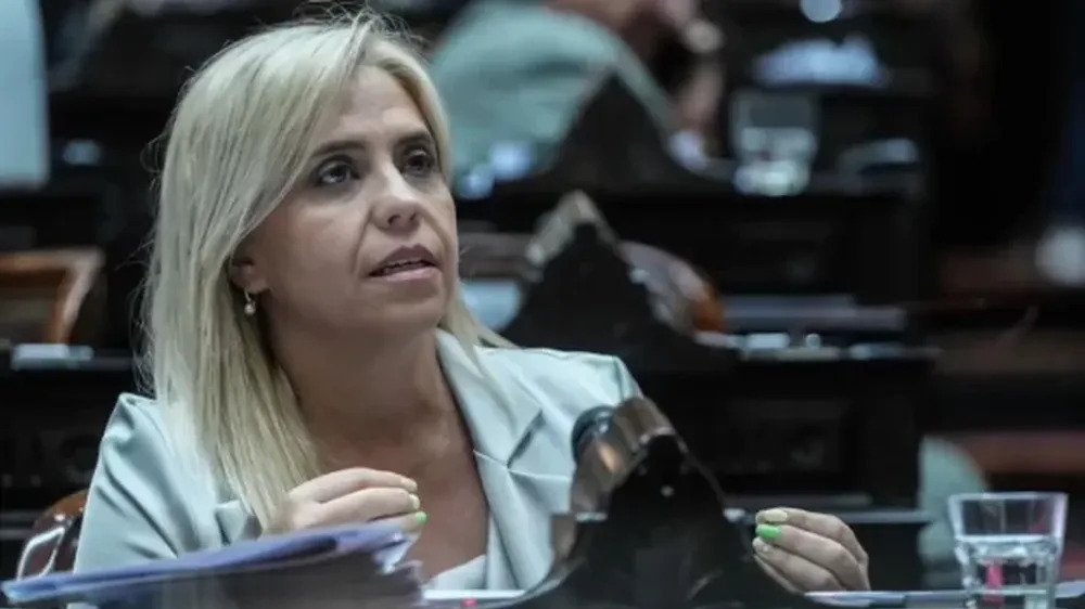 Picón elevó a Nación el reclamo de los padres de los preuniversitarios que no tienen clases