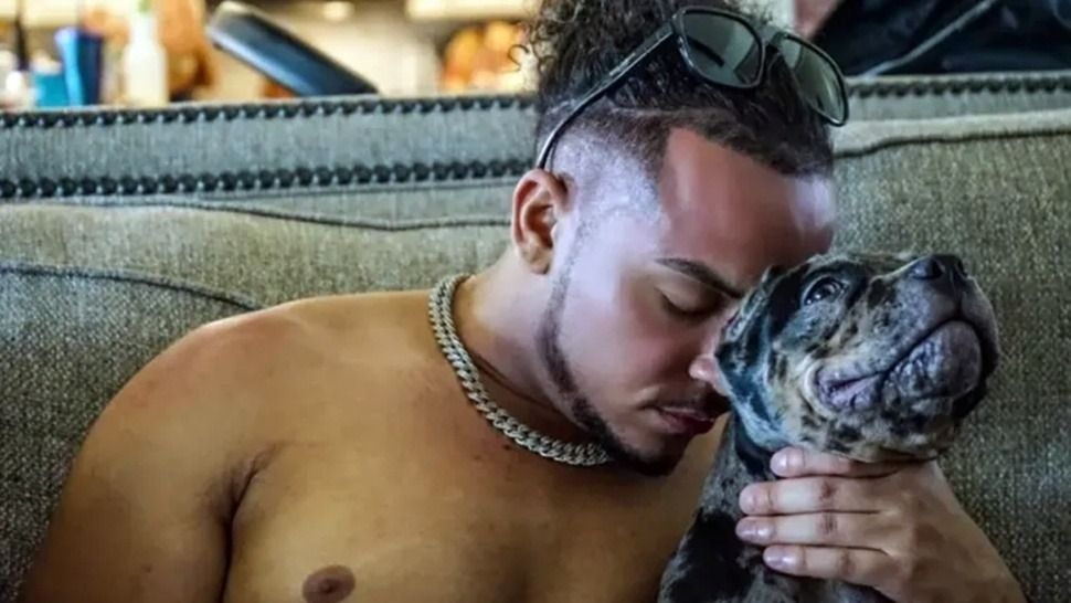 Un influencer mató a su pareja y culpó a su perro quien tuvo que ser sacrificado
