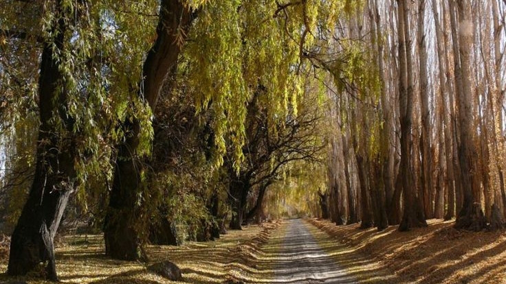 Barreal será sede de un retiro de escritura con referentes de la literatura
