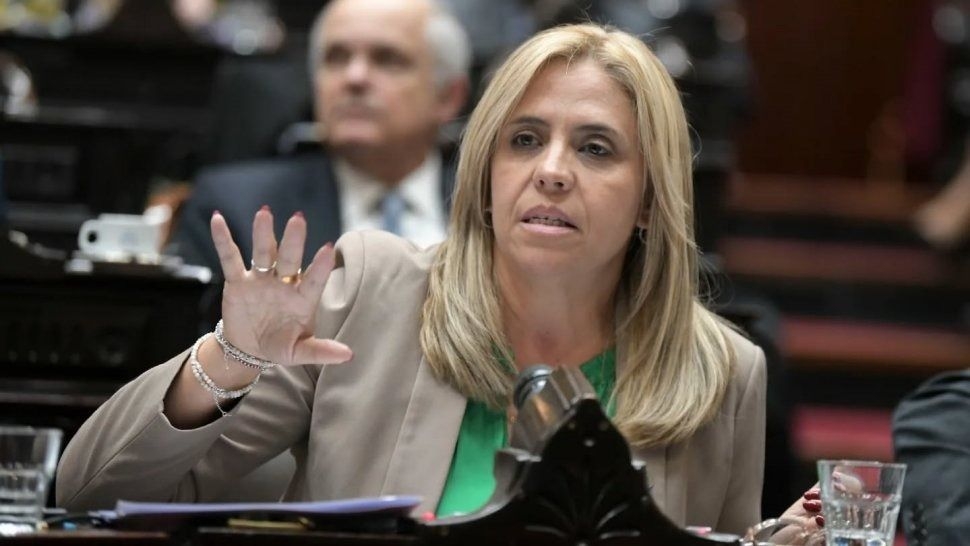 Nancy Picón analizó las reformas en leyes de salud mental y discapacidad e impulsa cambios