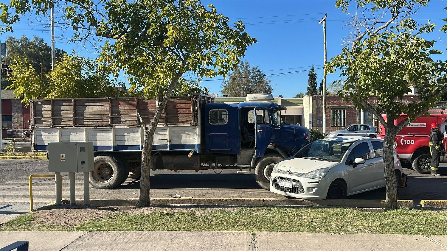 Confirmaron que el camionero cruzó en rojo y mató a la mujer de 72 años