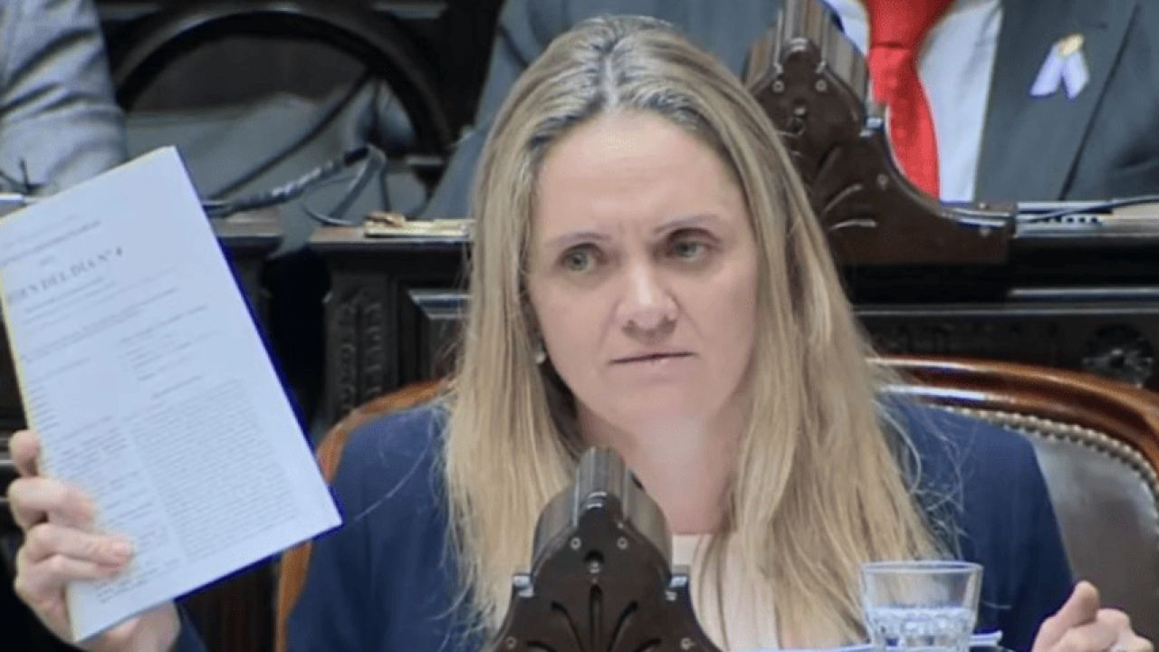 Una diputada libertaria reconoció usar los pasajes del Congreso para su hijo
