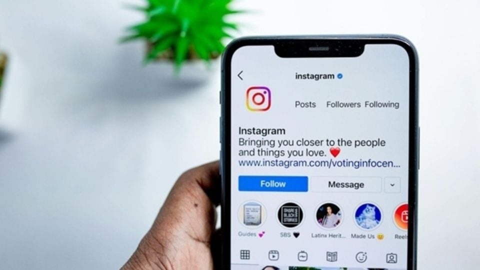 Guia para bajar videos y fotos de Instagram con Snapgram