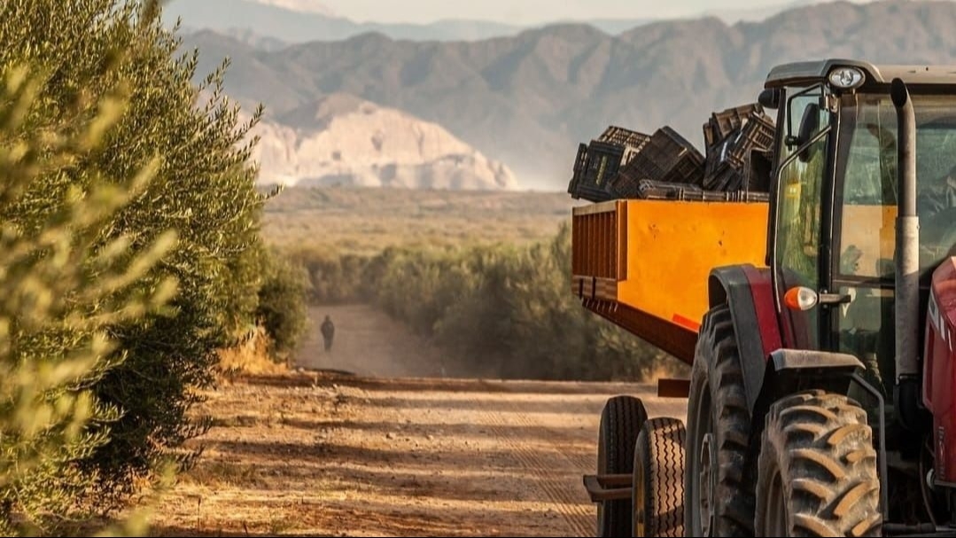 Brasil y Estados Unidos lideran los mercados de exportación de San Juan