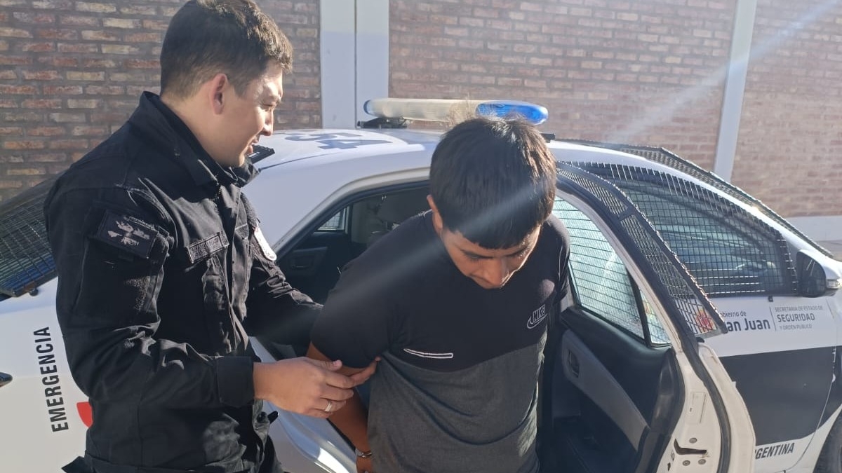 Detuvieron a un joven tras un violento robo a un chofer