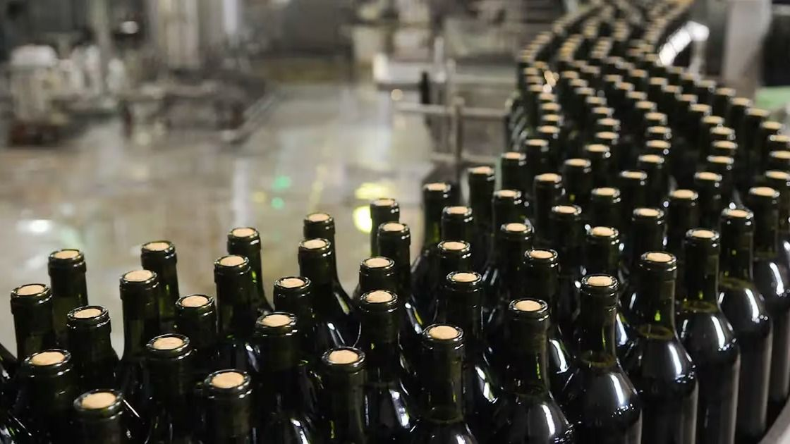 Fiduciaria San Juan inyectó más de $11.000 millones al sector productivo en dos años