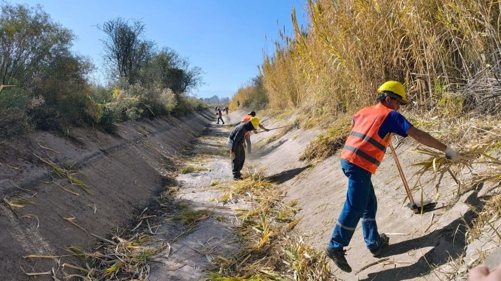 Optimización de la red de riego: la monda anual de Canales está en marcha