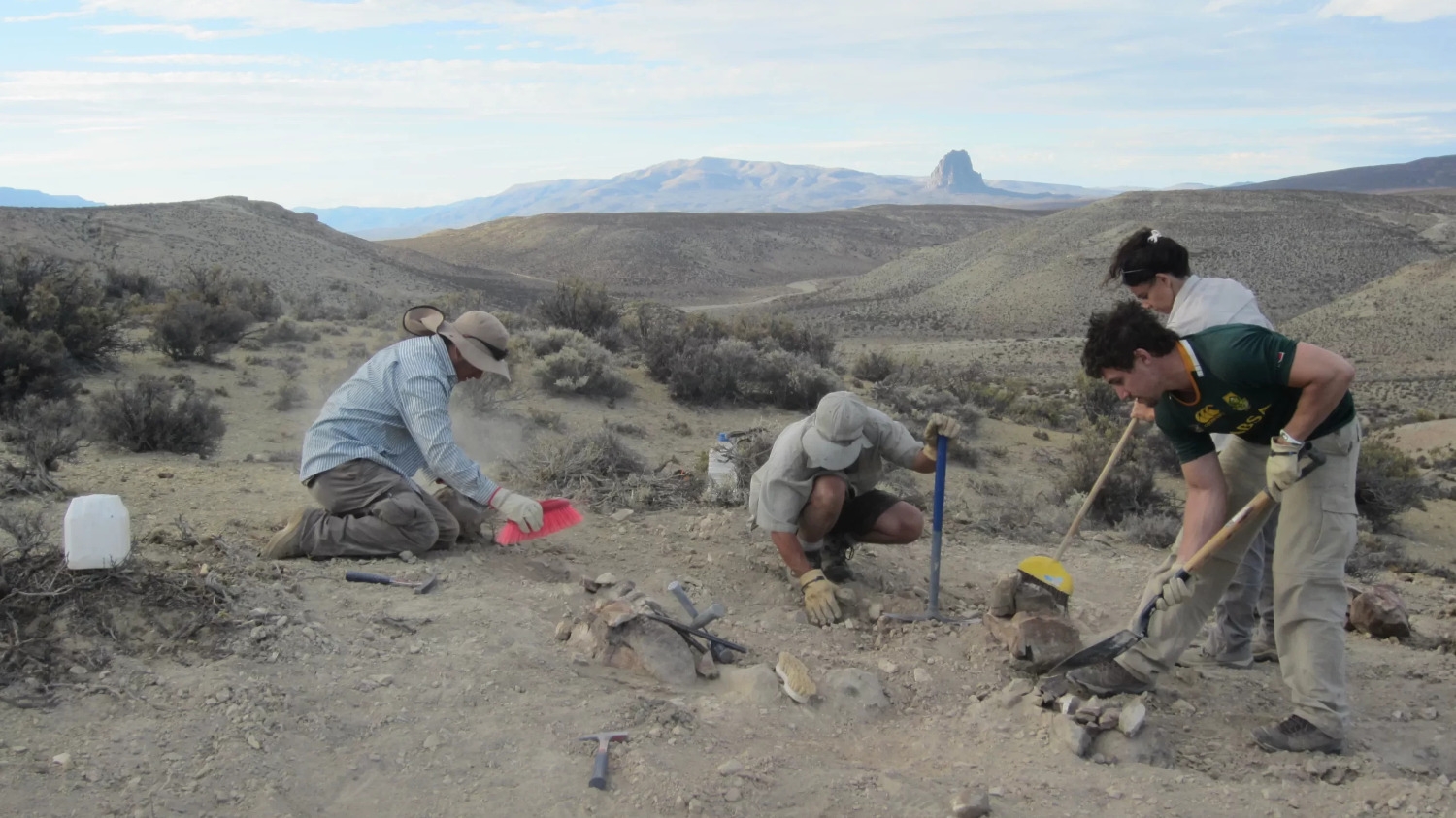 Hallan en Chubut un nuevo dinosaurio jurásico: cómo es Bicharracosaurus dionidei