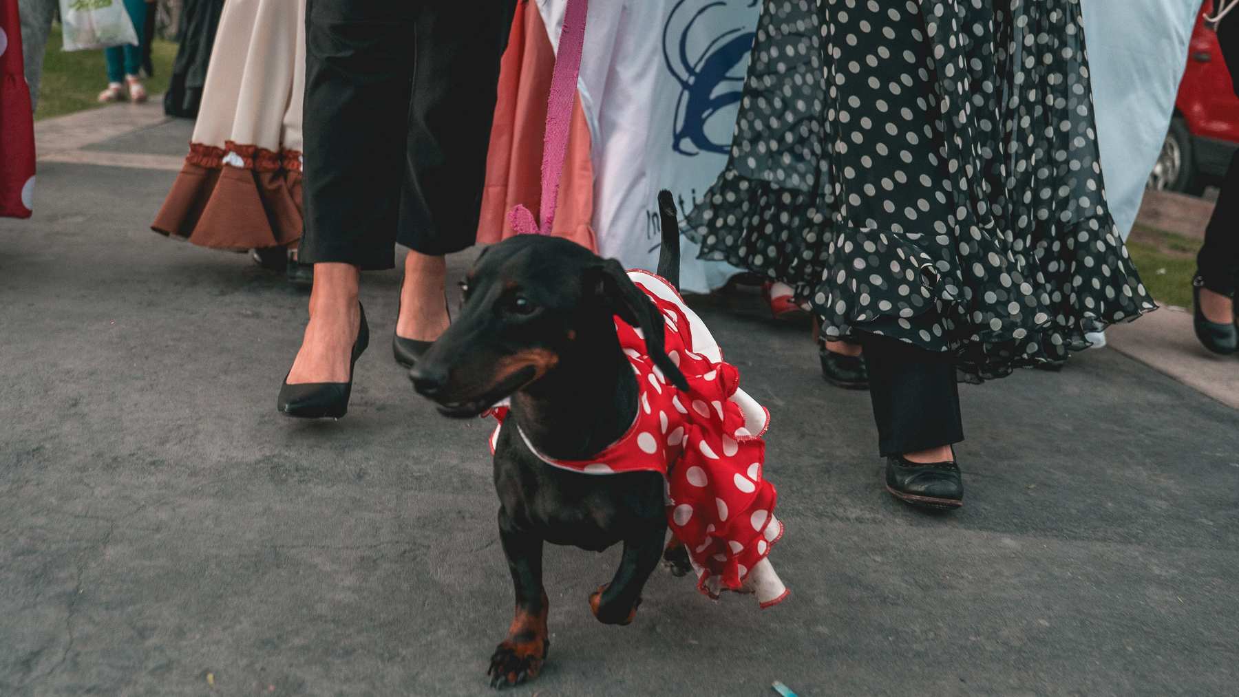 Las postales que dejó la romería que inauguró la Feria Flamenca Raíces
