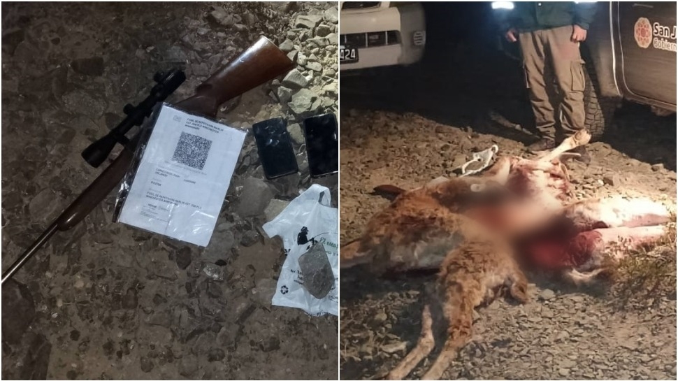 Tres hombres fueron detenidos con guanacos faenados en Ullum