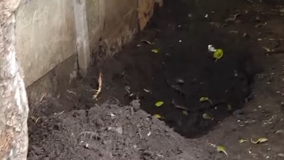 Un niño jugaba en su casa y encontró enterrado el cadáver de su mamá