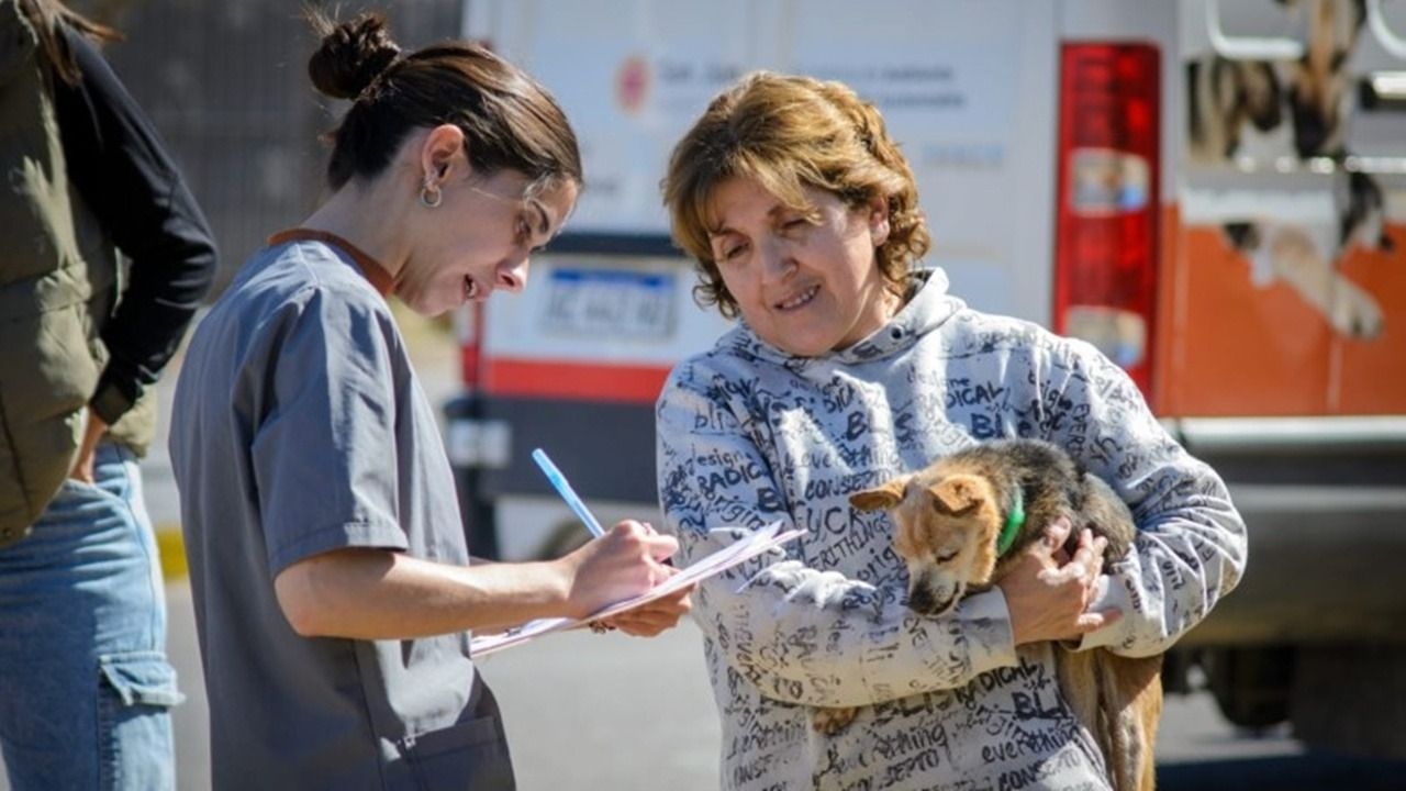 Los operativos gratuitos para mascotas llegan a dos departamentos