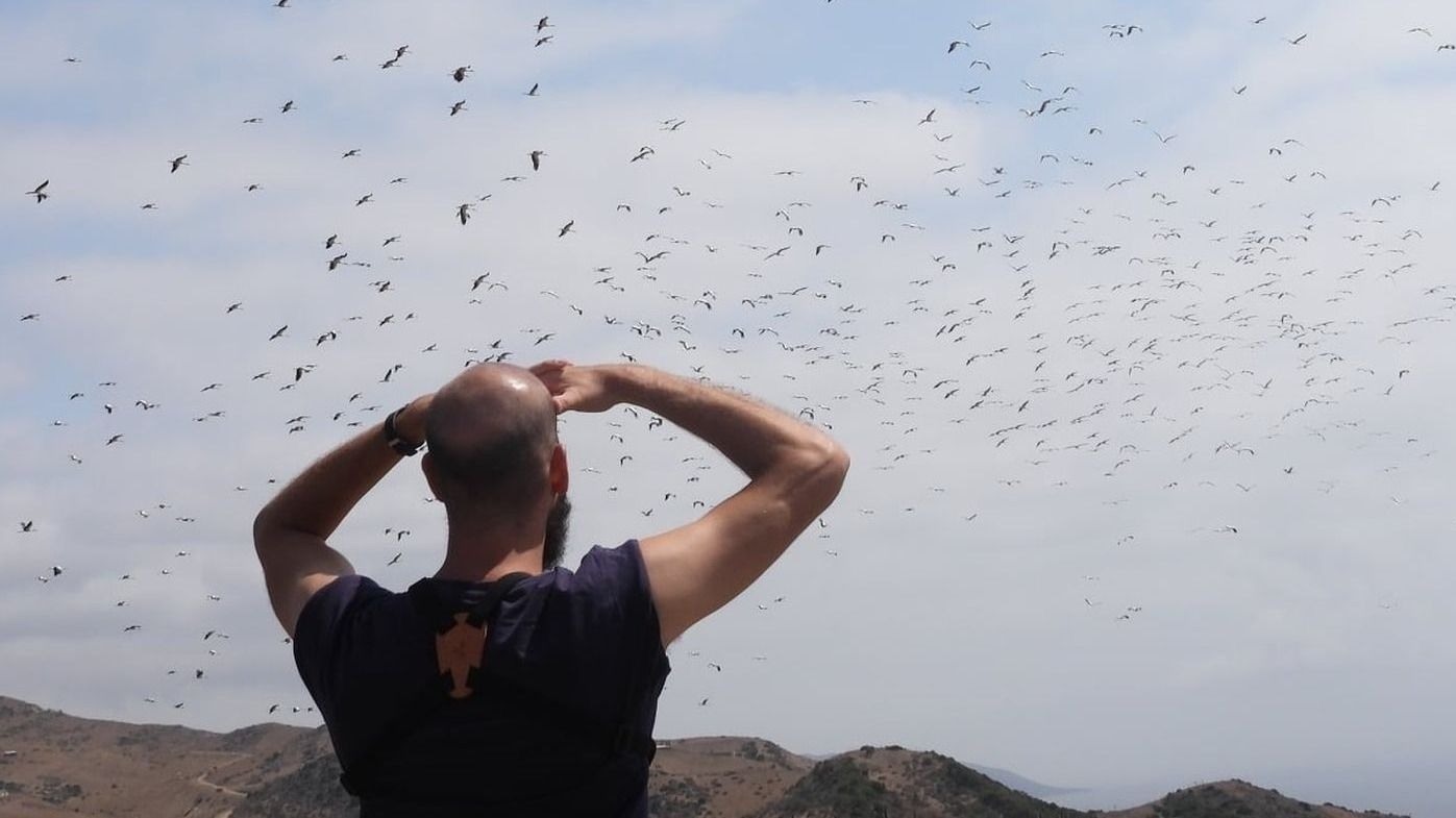 El cielo se renueva con el cambio de estación: la ruta de las aves