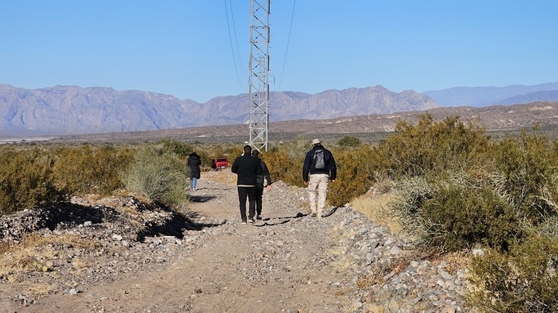 En San Juan hay hasta cuatro desapariciones por día y el 37% son menores