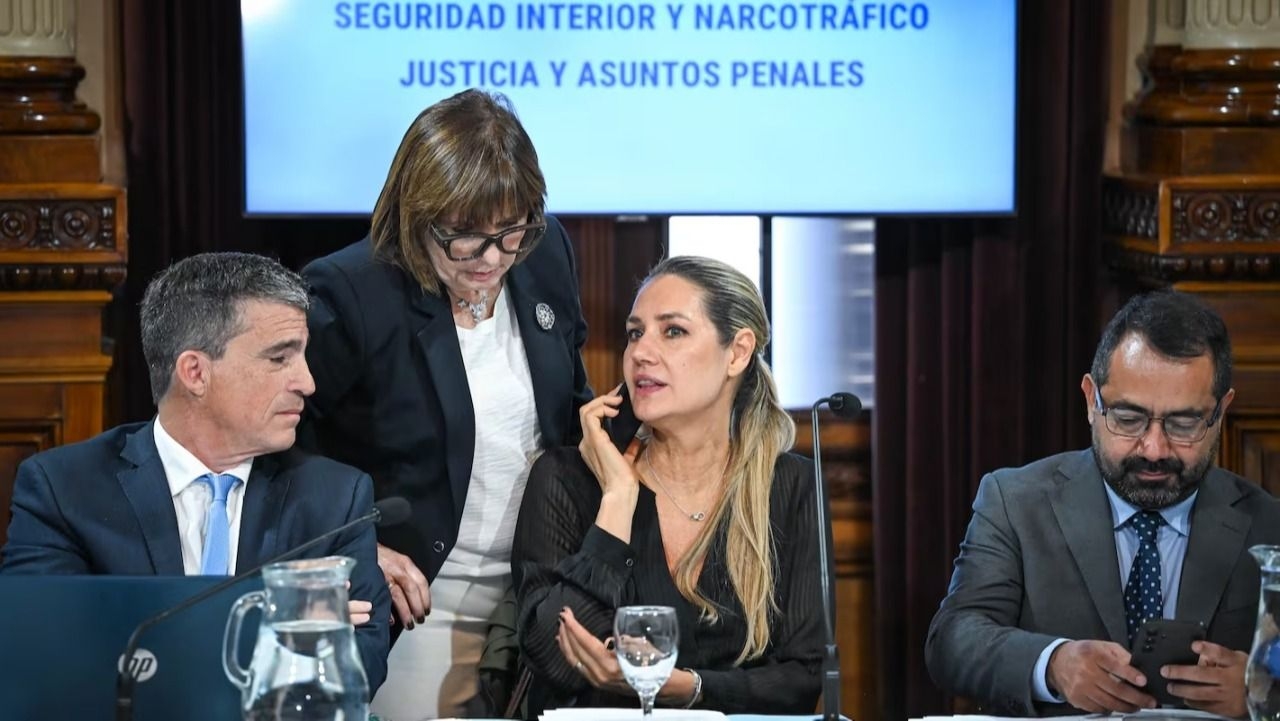 El Senado avanza con un plan para regularizar la tenencia de 800 mil armas