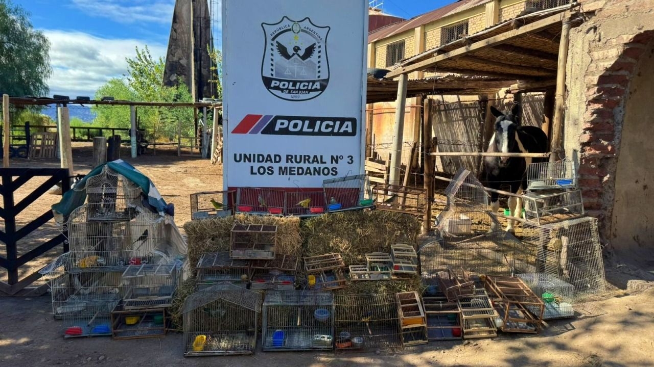 Desbarataron una venta ilegal de aves y secuestraron fauna en Caucete