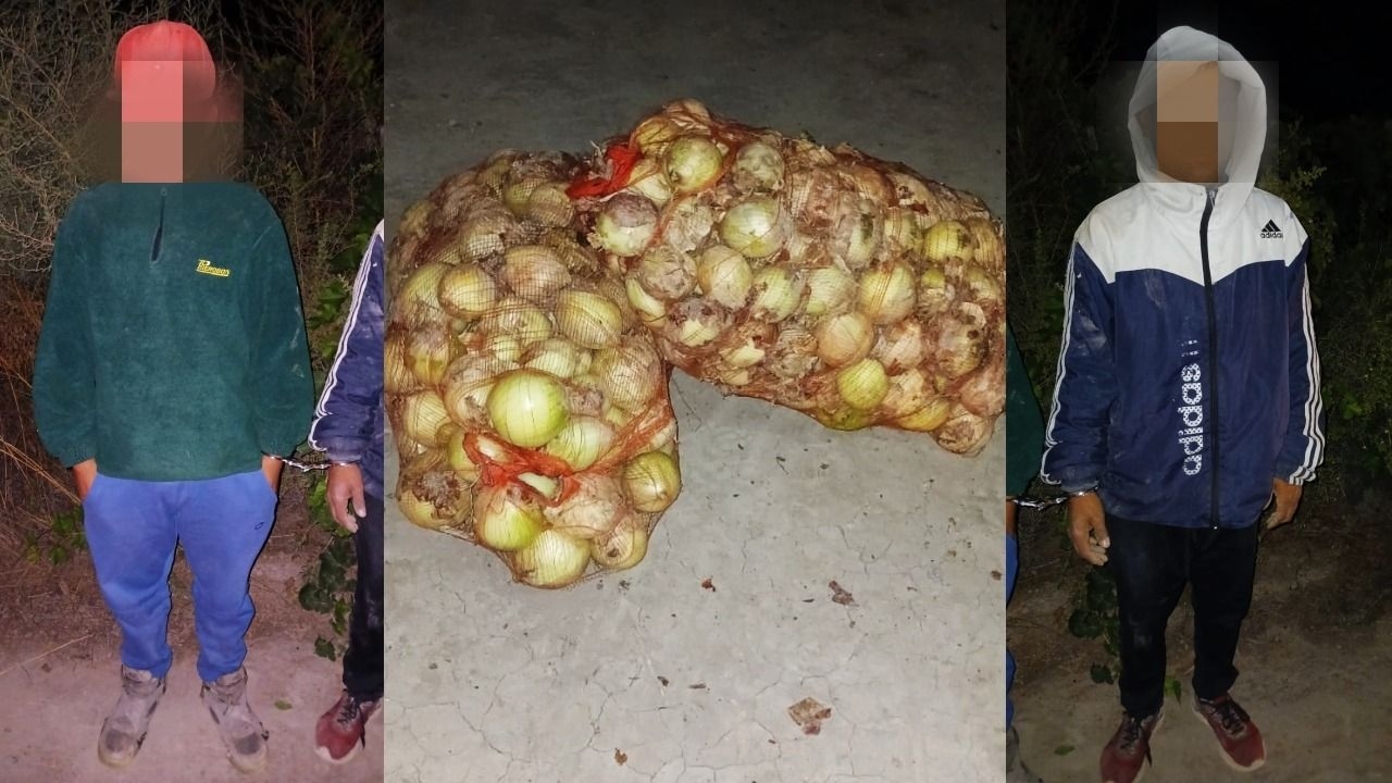 Dos hombres cayeron robando cebollas y uno tenía pedido de captura