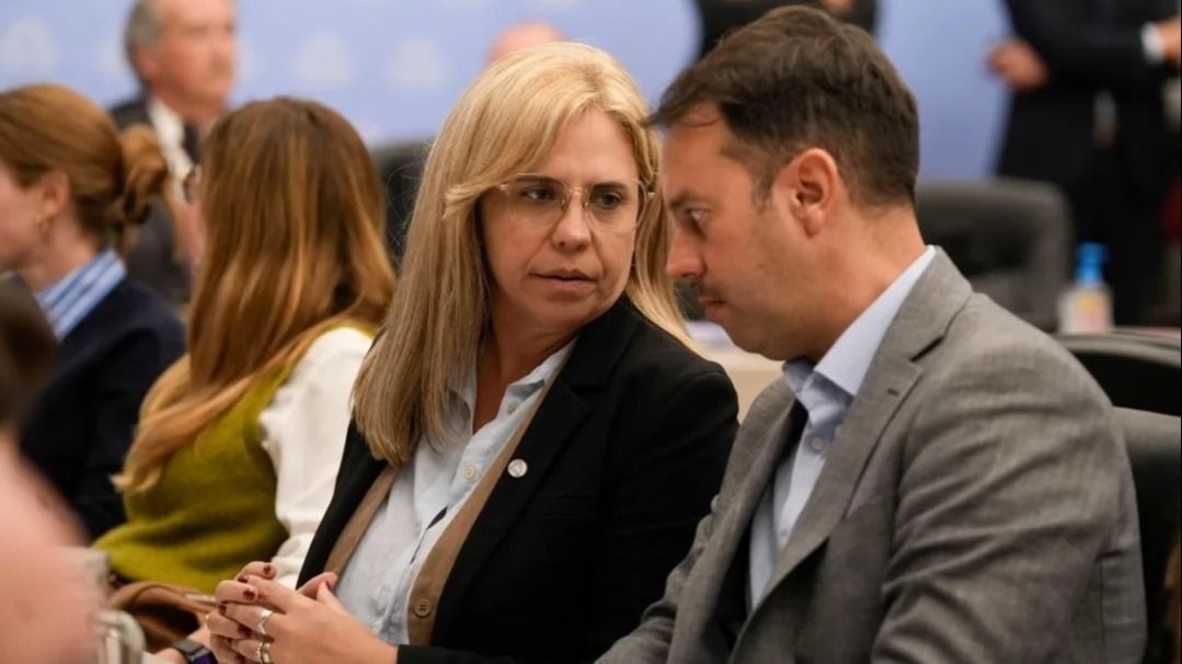 Picón y Jaime llevaron al Congreso reclamo por los dichos de Quintela