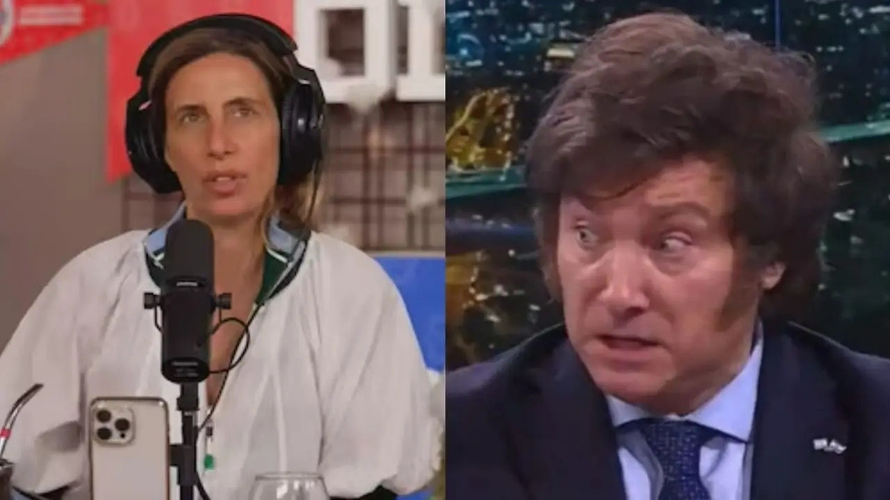 Por qué Milei tildó de delincuente a la periodista Luciana Geuna