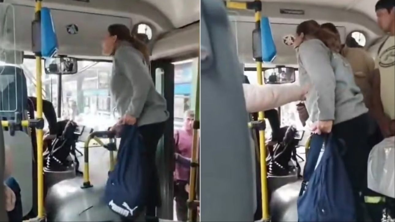 Una pasajera golpeó a un colectivero y quedó todo filmado