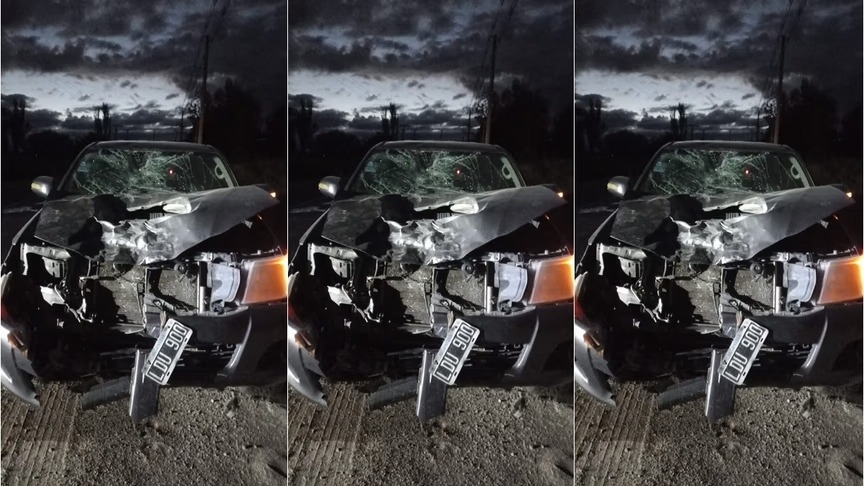 Una camioneta chocó contra un caballo y causó destrozos en Sarmiento