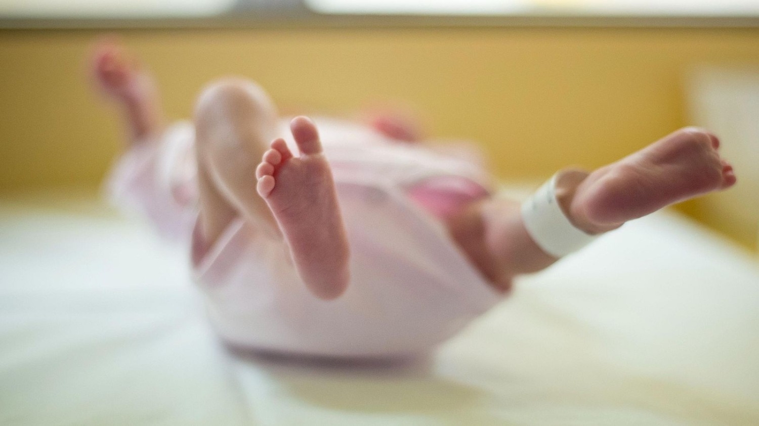 Hallaron un rastro de fetos en una clínica y una red de ventas de bebés