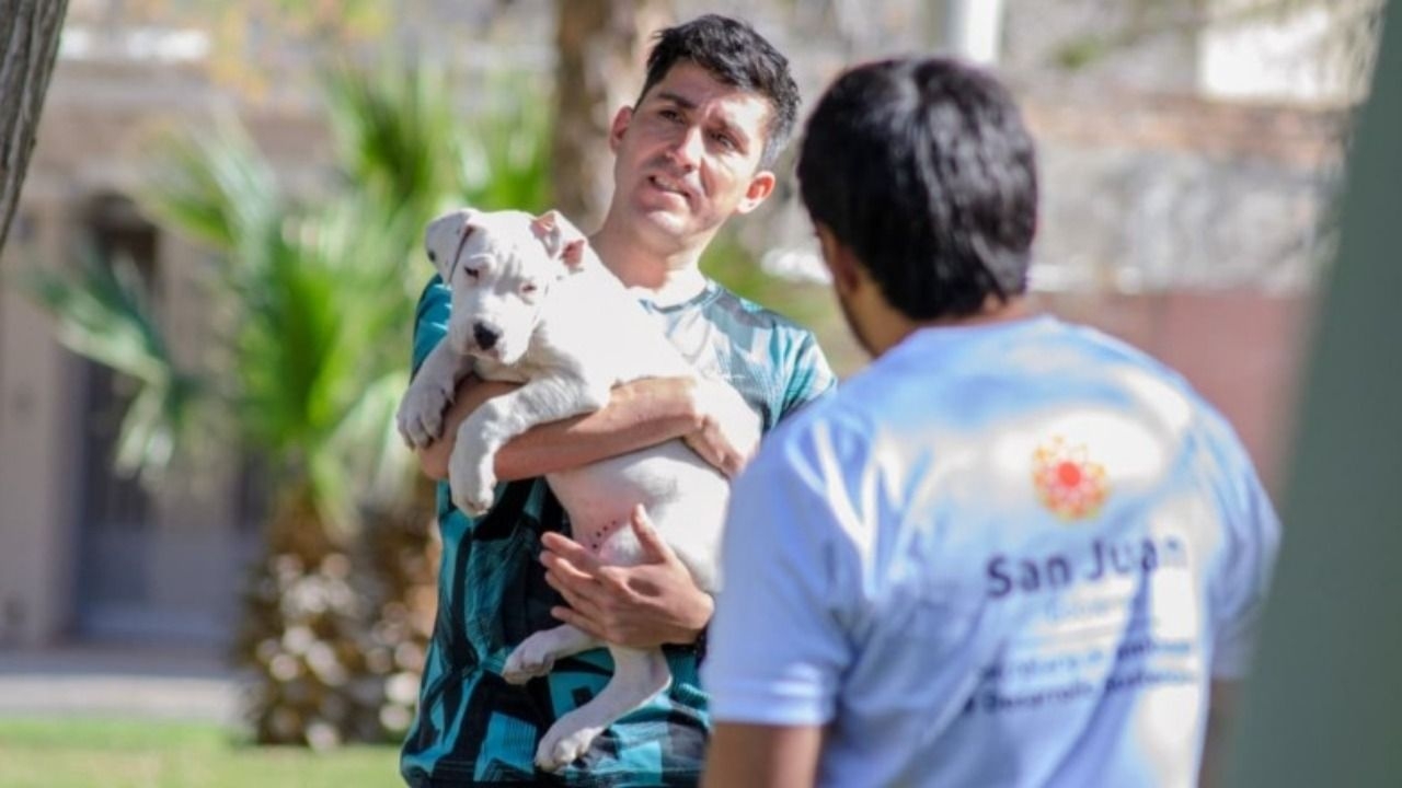 Comenzaron los operativos gratuitos para mascotas por el Día del Animal