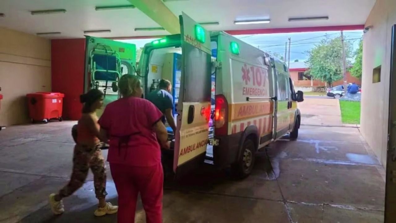 Un nene de 7 años fue atacado por siete perros en su casa