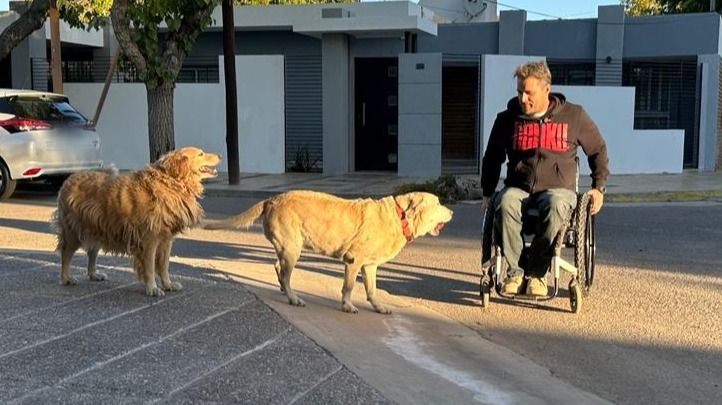 Lucky y Antonia, las perras de asistencia que acompañan a Sebastián tras su discapacidad
