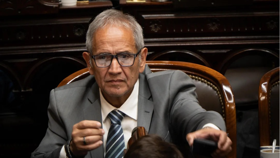 “Therians que se autoperciben leones”: la frase de un diputado a LLA