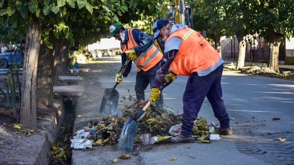 Zonda: comienzan a recolectar residuos verdes