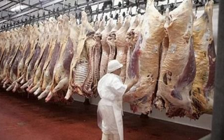Carne: nuevo cupo de exportación a EEUU abre un negocio de US$300 millones 