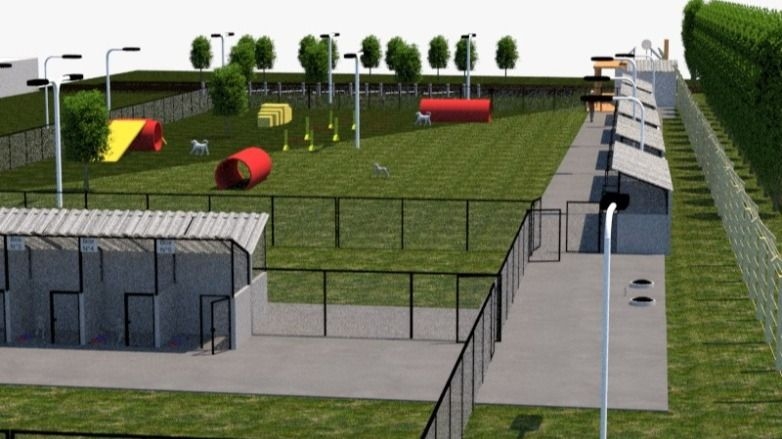 Destinan más de $3.000.000 para crear un refugio canino en Zonda: en 90 días estará funcionando