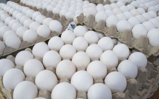 El huevo, alternativa clave ante el aumento de la carne