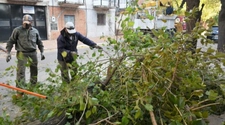 Rivadavia en acción: el operativo integral de arbolado 2024