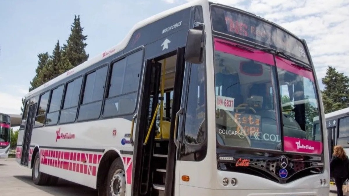 Bajó del colectivo y la acuchillaron para robarle sus pertenencias