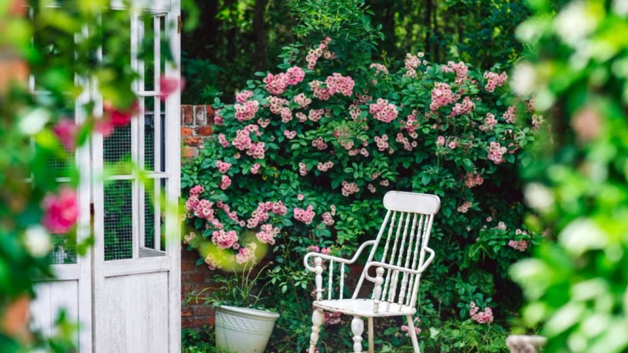 Qué flores son ideales para plantar en el otoño y que resisten el frío