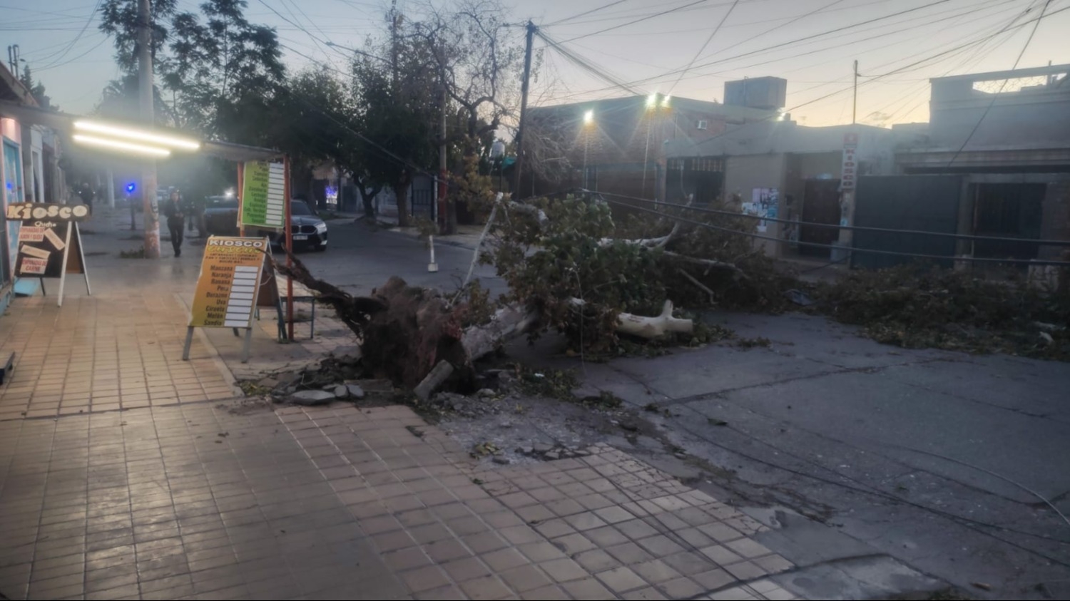Árboles caídos y más destrozos, el impacto del viento Zonda en San Juan
