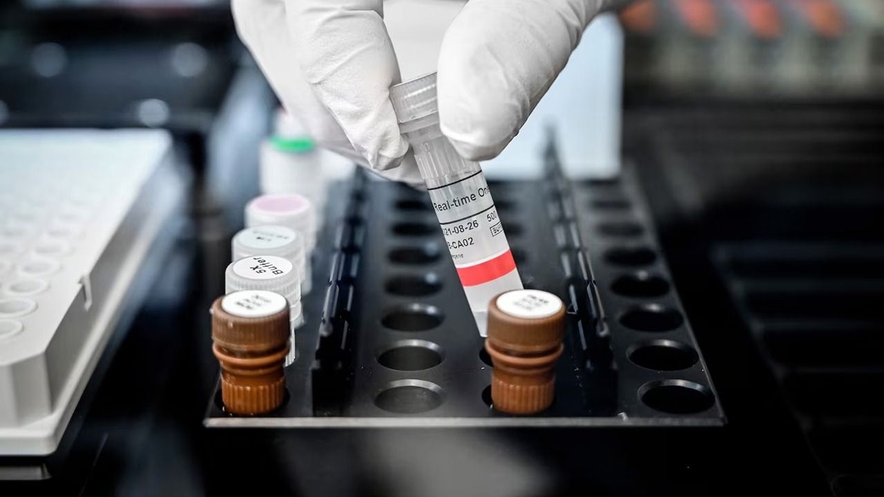 Qué es el hantavirus y por qué preocupa la cepa andina en Argentina