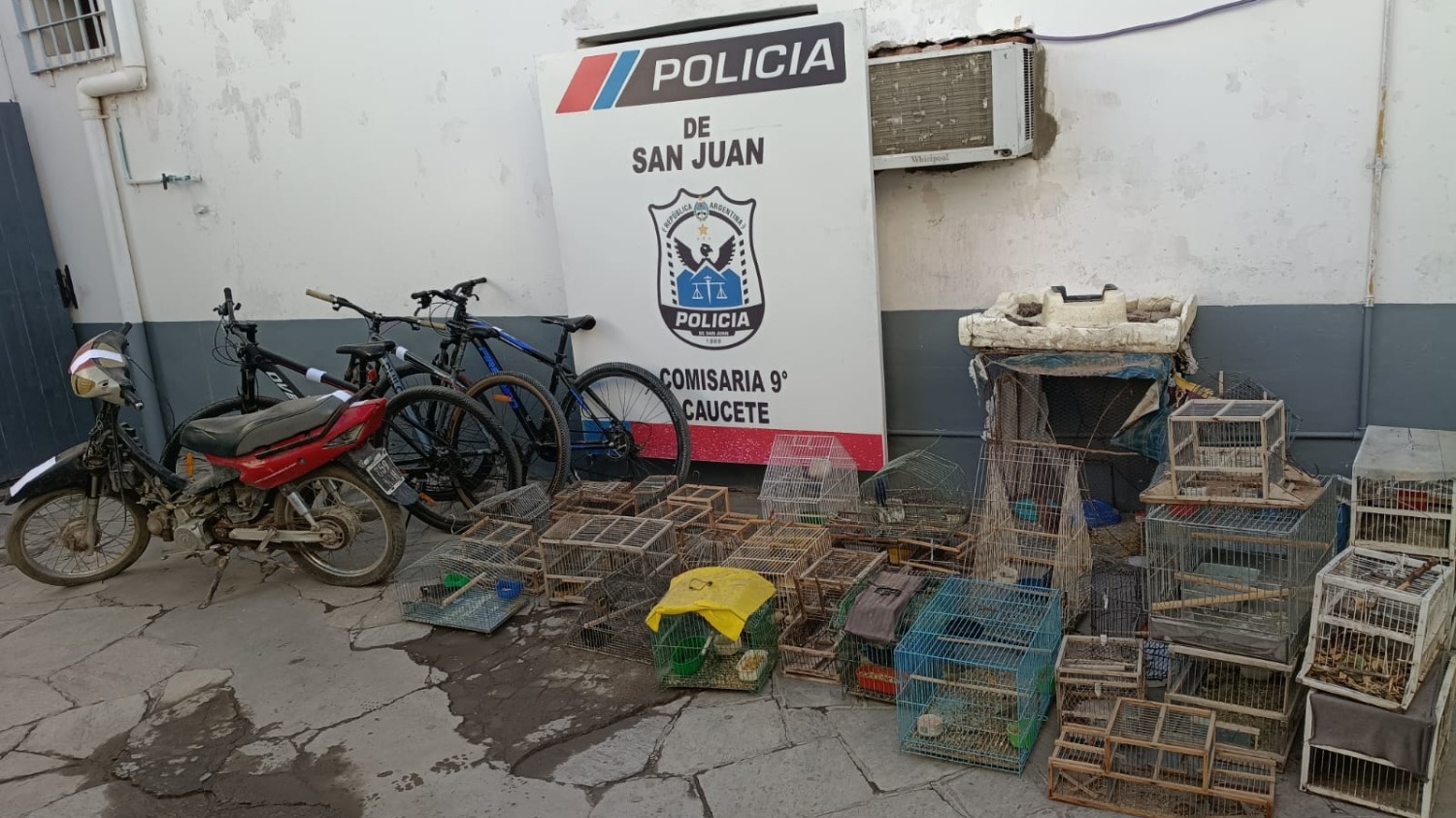 Cinco detenidos por tráfico de fauna silvestre en Caucete