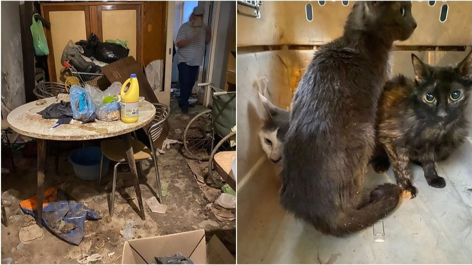 Hallaron muerta a la mujer que realizaba rituales con animales en Santa Lucía