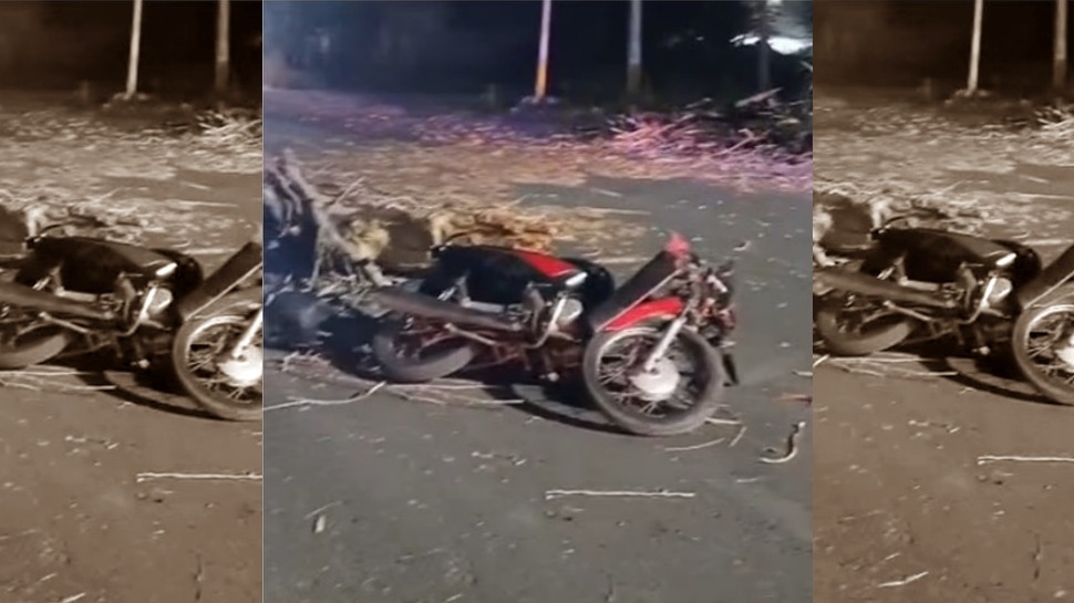 Rawson: el intenso viento derribó un árbol y aplastó una moto en la noche
