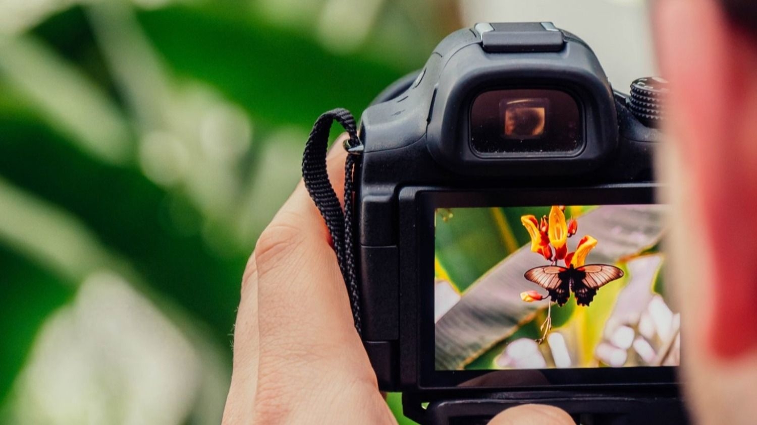 En Rawson se podrá aprender a escribir para cine y conceptos sobre fotografía