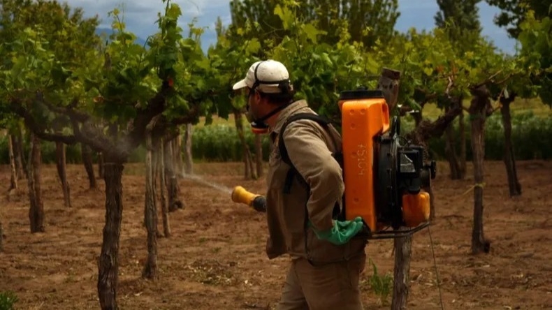 San Juan fortalece su blindaje sanitario para potenciar las exportaciones agrícolas