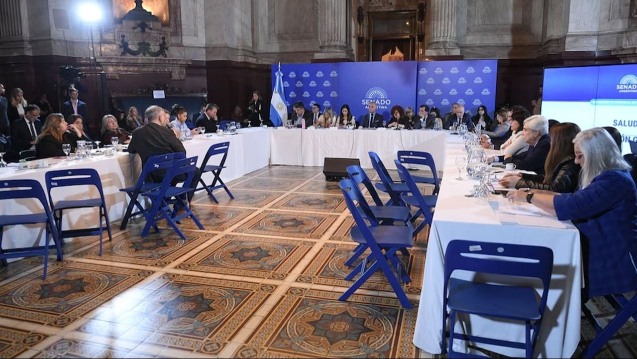 El Senado retoma el debate para cambiar la Ley de Salud Mental